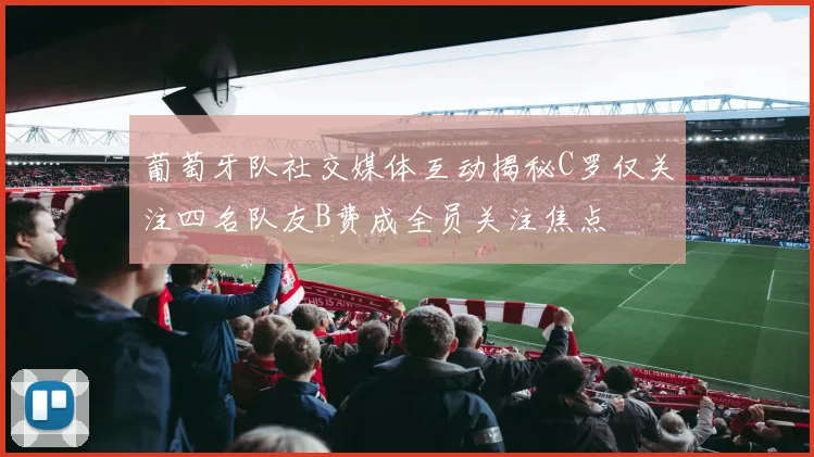 葡萄牙队社交媒体互动揭秘C罗仅关注四名队友B费成全员关注焦点